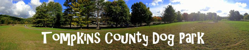 Pet Friendly Tompkins County Dog Park in Ithaca, New York