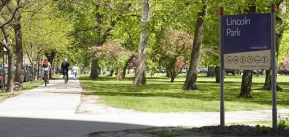 Pet Friendly Belmont Harbor Beach Dog Park in Chicago, IL