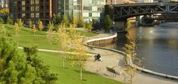 Pet Friendly Ward Playground Dog Park in Chicago, IL