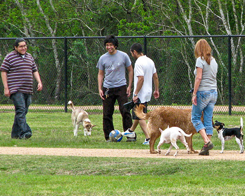 Pet Friendly Millie Bush Dog Park in Houston, TX