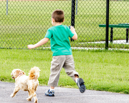 Pet Friendly Beverly Kaufman Dog Park in Katy, TX