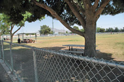 Pet Friendly Clark County Dog Fancier's Park in Las Vegas, Nevada