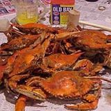 Pet Friendly Sue Island Grill and Crab House in Essex, MD