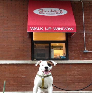 Pet Friendly Scooter's Frozen Custard in Chicago, IL