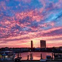 Pet Friendly Back Bay Ale House in Atlantic City, NJ