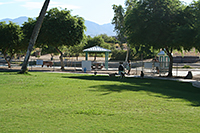 Pet Friendly Lions Dog Park in Lake Havasu City, AZ