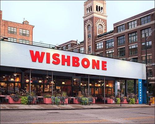 Pet Friendly Wishbone in Chicago, IL