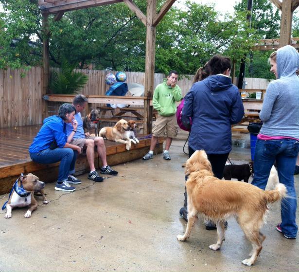 Pet Friendly North Sycamore Brewing in Charlotte, NC