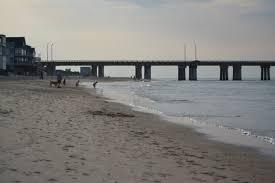 Pet Friendly Virginia Beach Public Beaches in Virginia Beach, VA