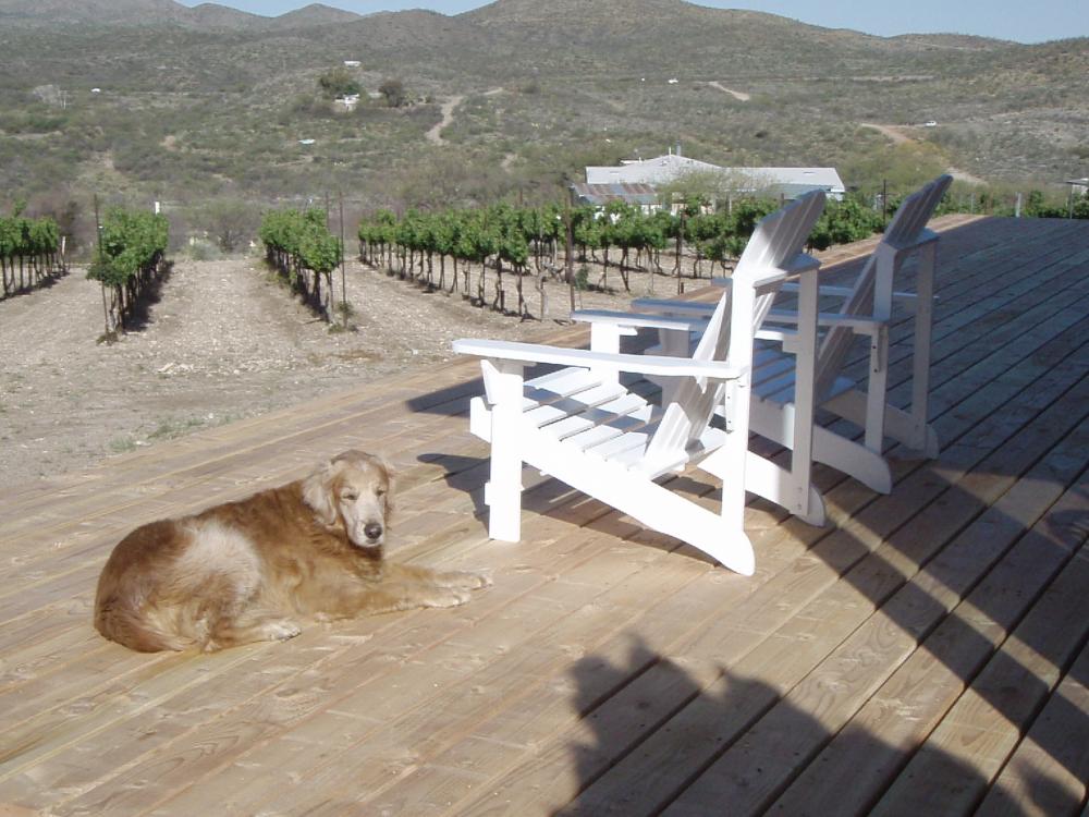 Pet Friendly Charron Vineyards & Winery in Tucson, AZ
