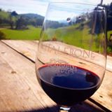 Pet Friendly Whalebone Vineyard in Paso Robles, CA