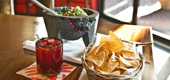 Pet Friendly Besito Mexican in Huntington, NY