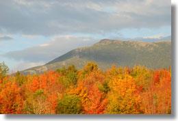 Pet Friendly Underhill State Park  in Vermont, VT