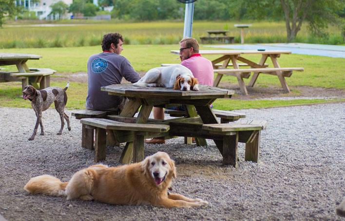 Pet Friendly The Barrel in Charleston, SC