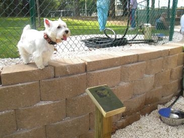 Pet Friendly Fairhope Dog Park in Fairhope, AL