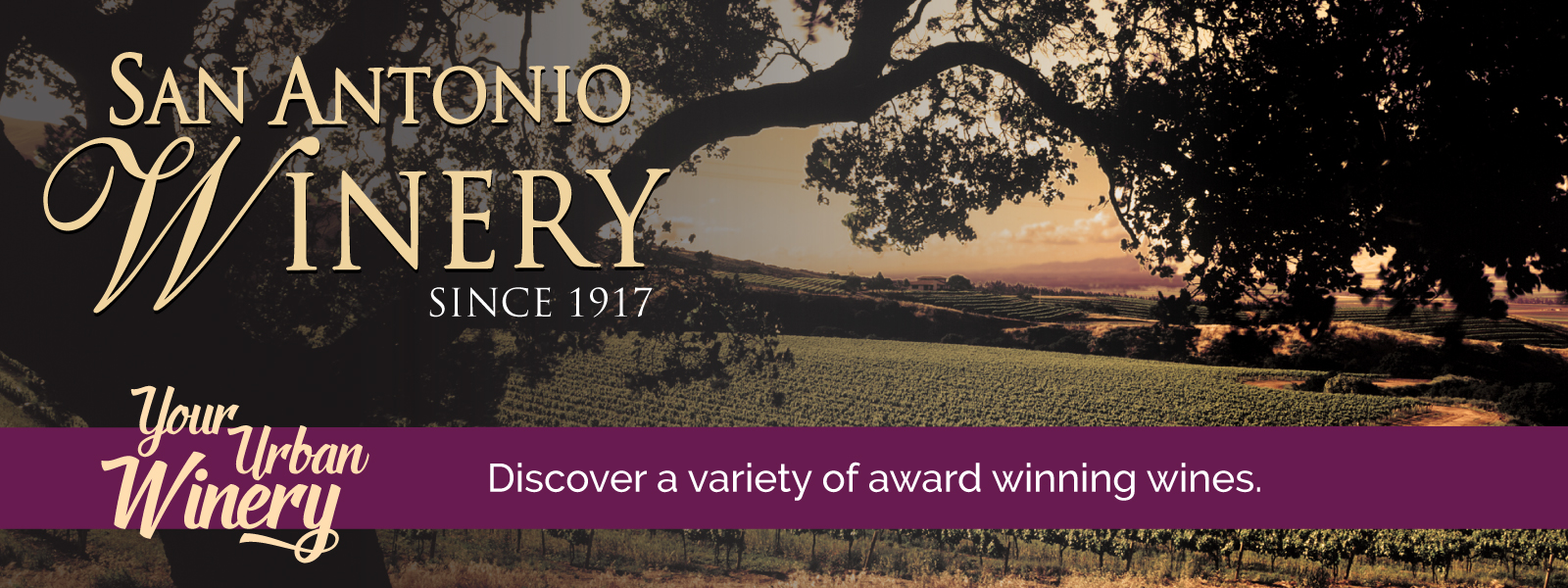 Pet Friendly San Antonio Winery in Paso Robles, CA