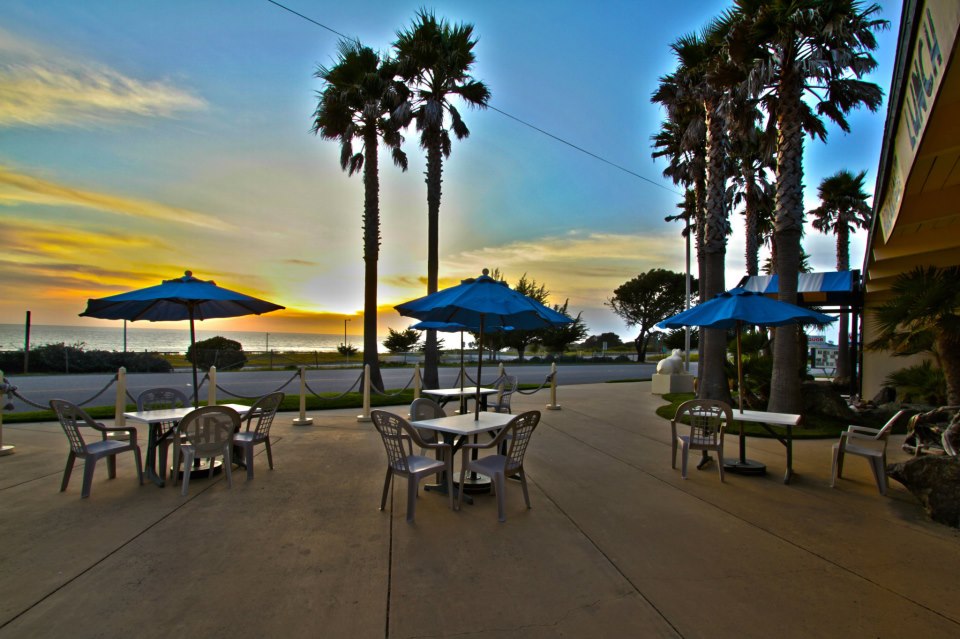 Pet Friendly San Simeon Beach Bar & Grill in San Simeon, CA