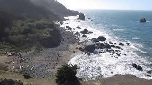 Pet Friendly Lands End Beach Off Leash Dog Area in San Francisco, CA