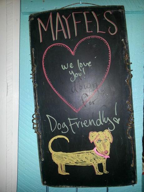 Pet Friendly Mayfel's in Asheville, NC