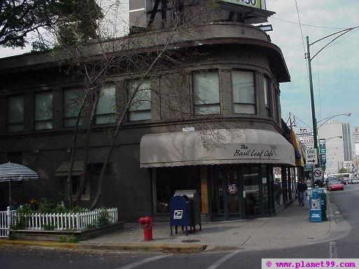 Pet Friendly Basil Leaf Cafe in Chicago, IL