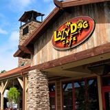 Pet Friendly Lazy Dog Restaurant & Bar - Torrance in Torrance, CA