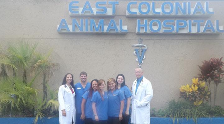Pet Friendly VC East Colonial Animal Hospital in Orlando, FL