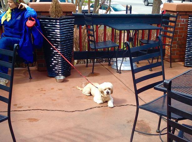 Pet Friendly The Cantina at Historic Biltmore Vil in Asheville, NC