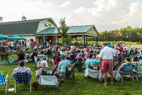 Pet Friendly Harmony Hill Vineyards in Bethel, OH