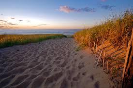 Pet Friendly Race Point Beach in Provincetown, MA