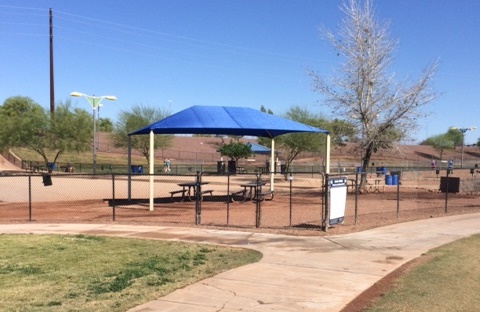 Pet Friendly Cosmo Dog Park in Gilbert, AZ