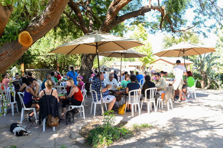 Pet Friendly Morning Glory Cafe in Phoenix, AZ