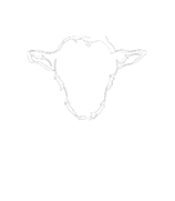 Pet Friendly Ovelia in Astoria, NY