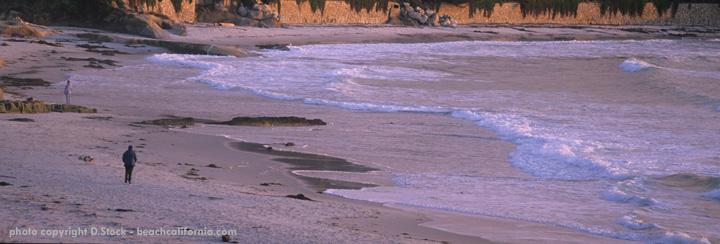 Pet Friendly Carmel Beach in Carmel, CA