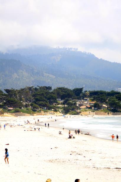 Pet Friendly Carmel River State Beach in Carmel, CA