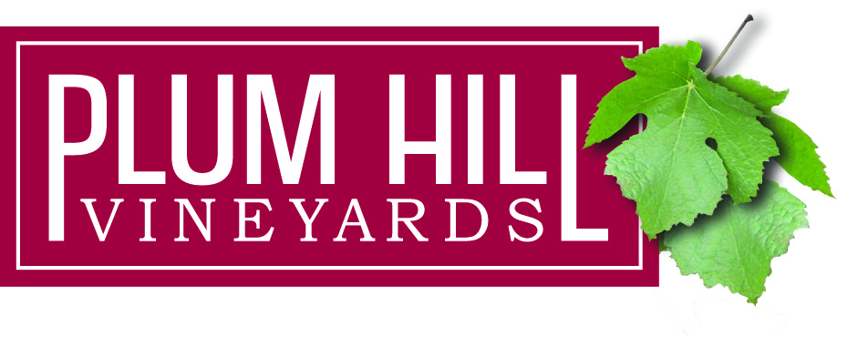 Pet Friendly Plum Hill Vineyards in Gaston, OR