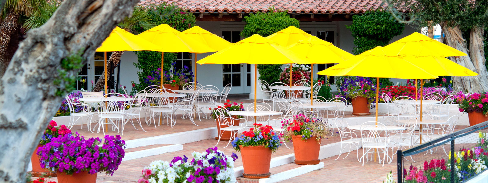 Pet Friendly Centre Court Cafe in La Quinta, CA