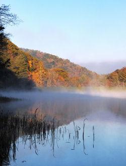 Pet Friendly Watoga State Park in Marlinton, WV