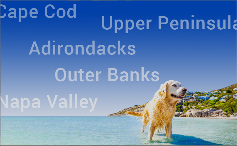 places to vacation with dogs