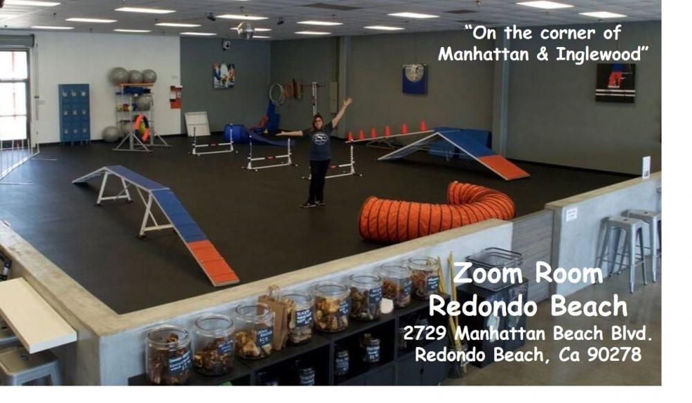 Pet Friendly Zoom Room Redondo Beach in Redondo Beach, CA