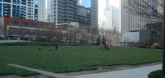 Pet Friendly Lake Shore East Dog Park in Chicago, IL