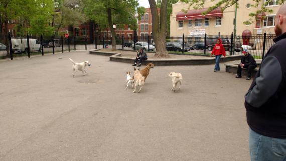 Pet Friendly Wicker Dog Park in Chicago, IL