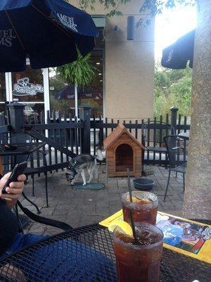 Pet Friendly Parson Jack's Cafe in Charleston, SC