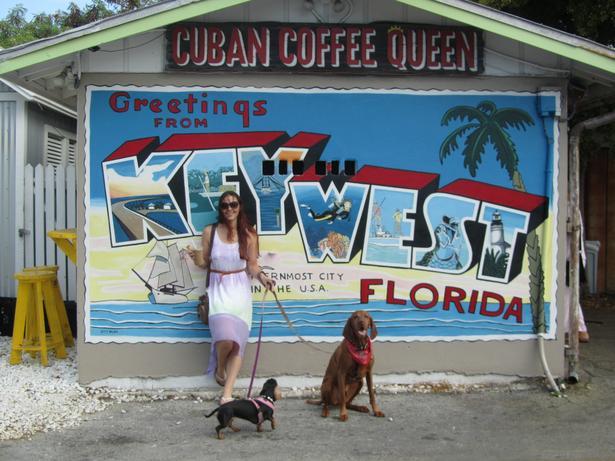 Pet Friendly Cuban Coffee Queen in Key West, FL