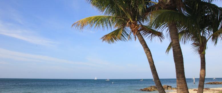 Pet Friendly Fort Zachary Taylor State Park in Key West, FL