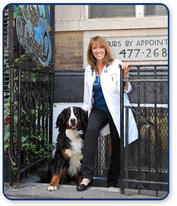 Pet Friendly St. Marks Veterinary Hospital in New York, NY