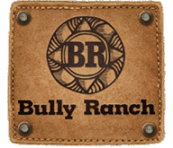 Pet Friendly Bully Ranch Restaurant in Vail, CO