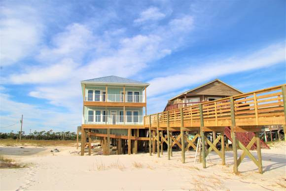 Pet Friendly Coast is Clear in Gulf Shores, Alabama