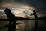 fly fishing with a dog