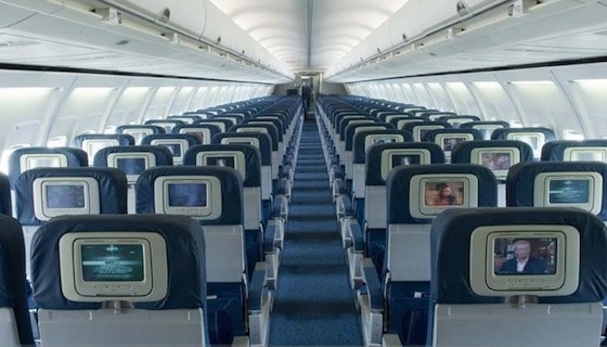 delta airlines pet in cabin