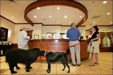 pet-friendly-hotel-lobby